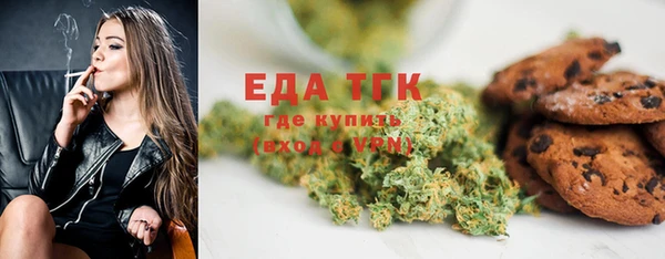 шишки Гусев