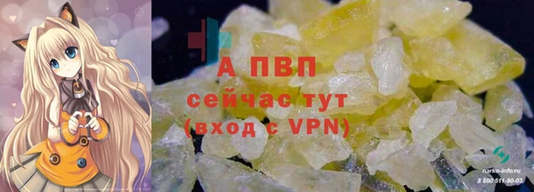 шишки Гусев