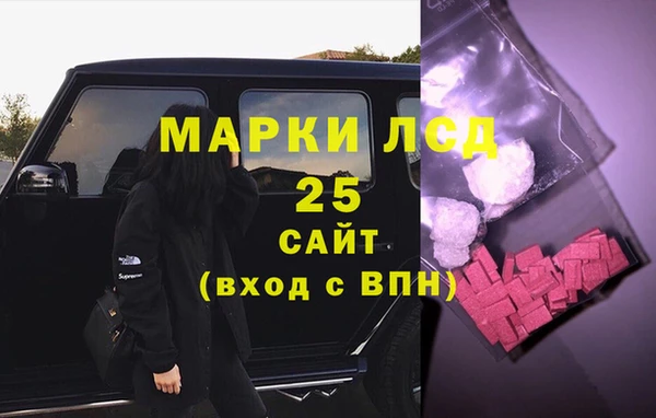 шишки Гусев