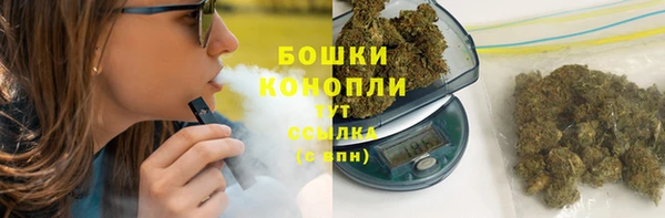 шишки Гусев
