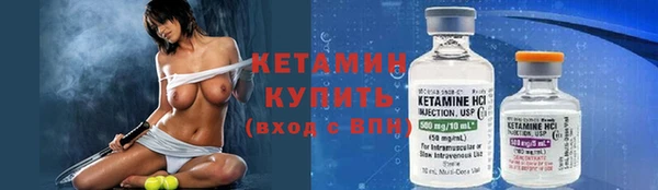 шишки Гусев