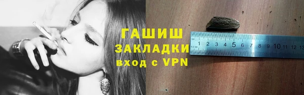 шишки Гусев