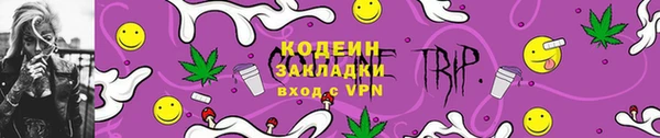 шишки Гусев