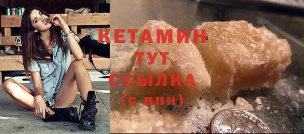 шишки Гусев