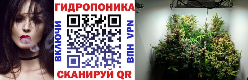shop официальный сайт  сколько стоит  Петров Вал  МАРИХУАНА марихуана 